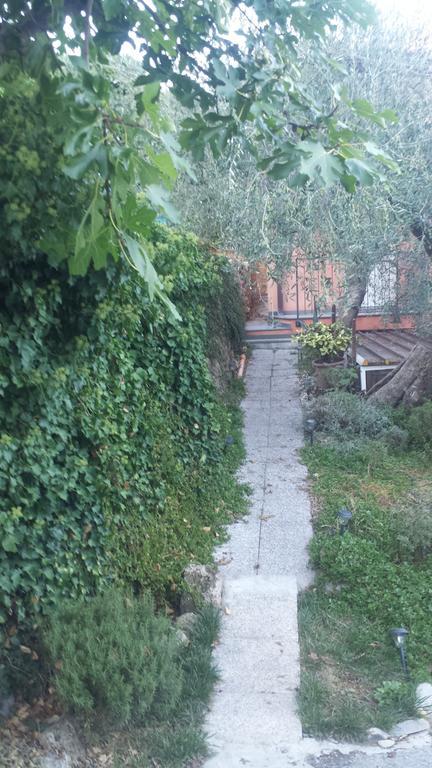 Chiusavecchia Piccolo Rifugio Nel Verde מראה חיצוני תמונה
