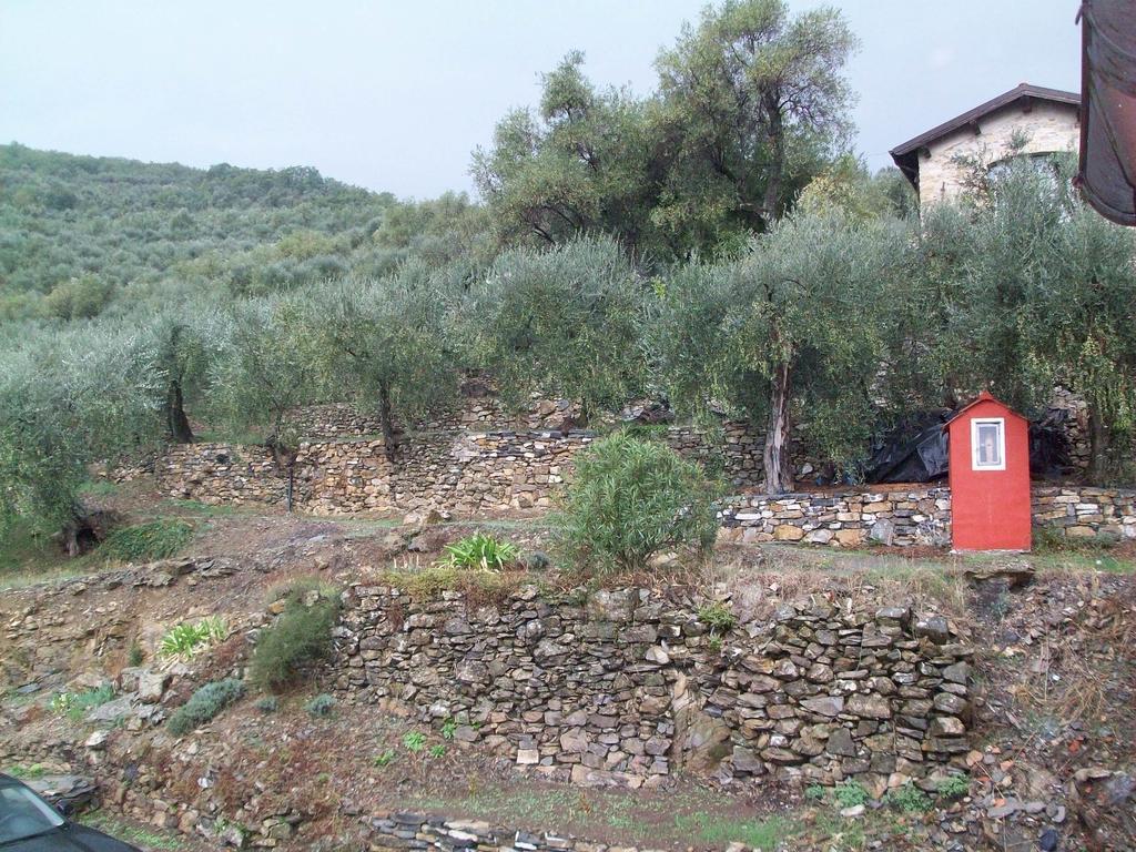 Chiusavecchia Piccolo Rifugio Nel Verde חדר תמונה