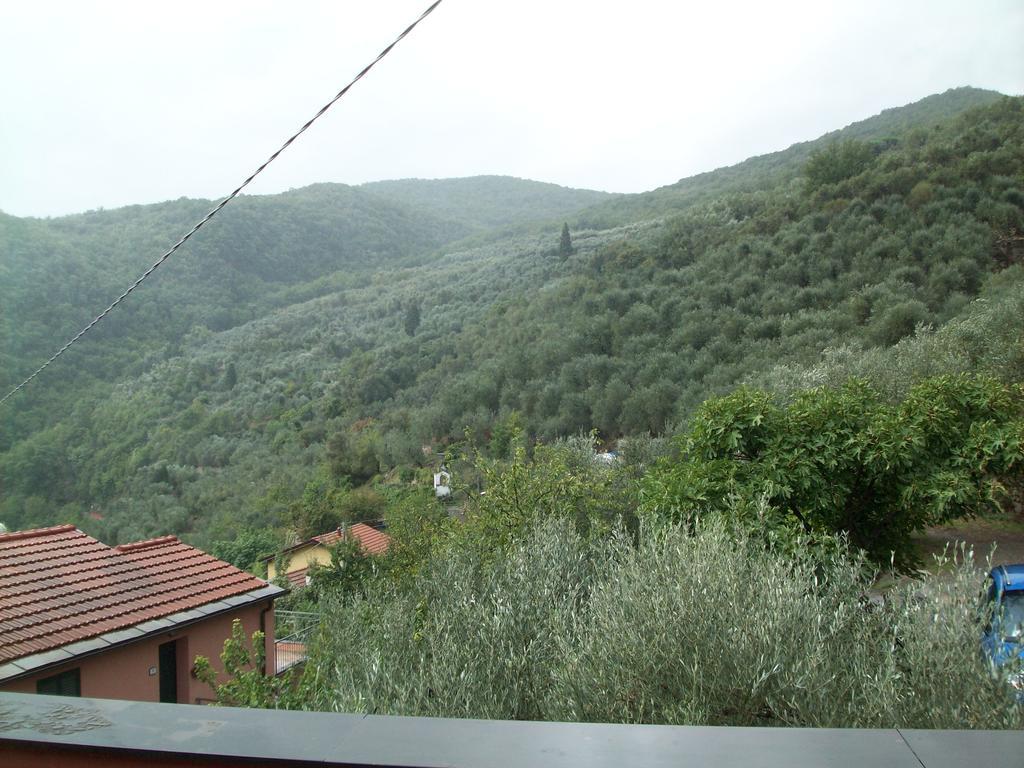 Chiusavecchia Piccolo Rifugio Nel Verde חדר תמונה