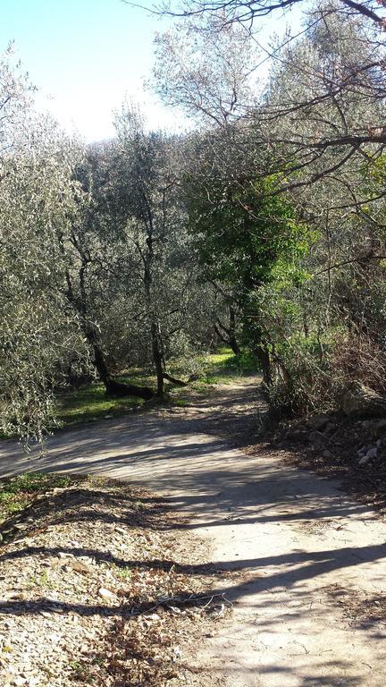 Chiusavecchia Piccolo Rifugio Nel Verde מראה חיצוני תמונה