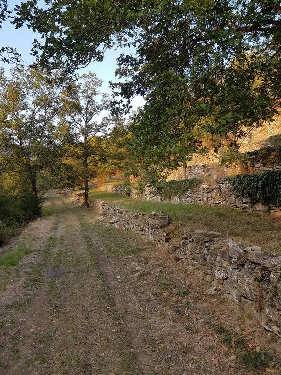 Chiusavecchia Piccolo Rifugio Nel Verde מראה חיצוני תמונה