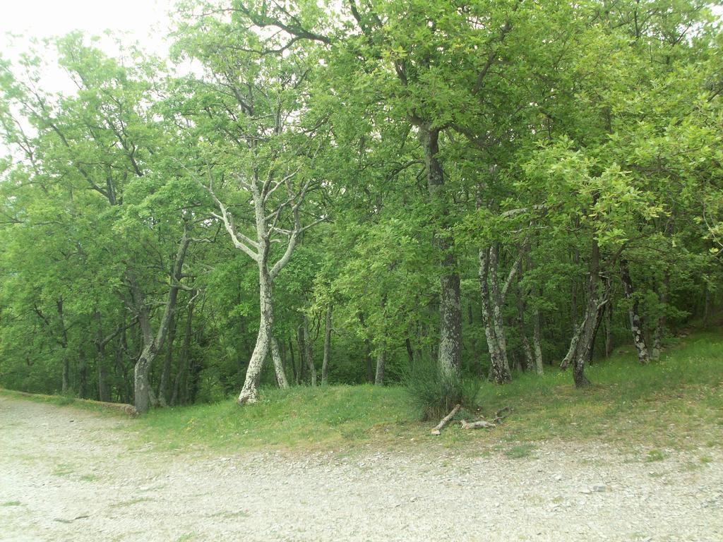 Chiusavecchia Piccolo Rifugio Nel Verde מראה חיצוני תמונה