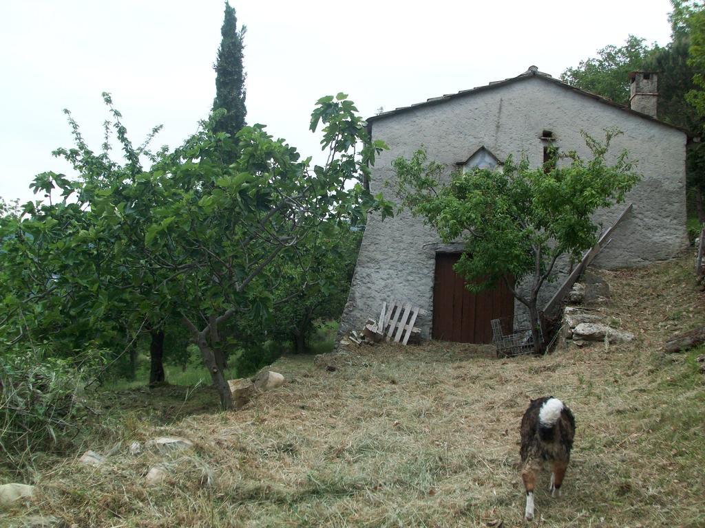Chiusavecchia Piccolo Rifugio Nel Verde מראה חיצוני תמונה