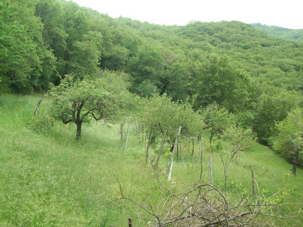 Chiusavecchia Piccolo Rifugio Nel Verde מראה חיצוני תמונה