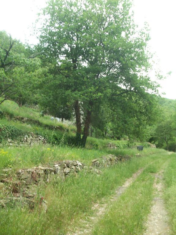 Chiusavecchia Piccolo Rifugio Nel Verde מראה חיצוני תמונה