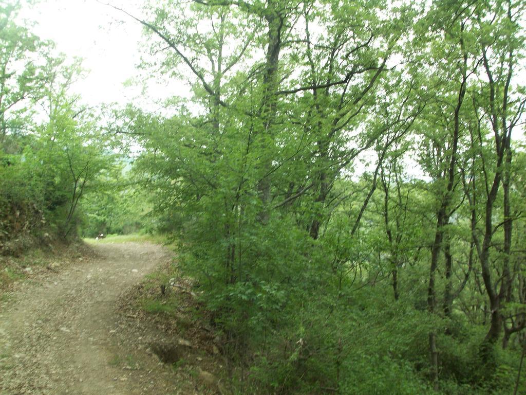Chiusavecchia Piccolo Rifugio Nel Verde מראה חיצוני תמונה