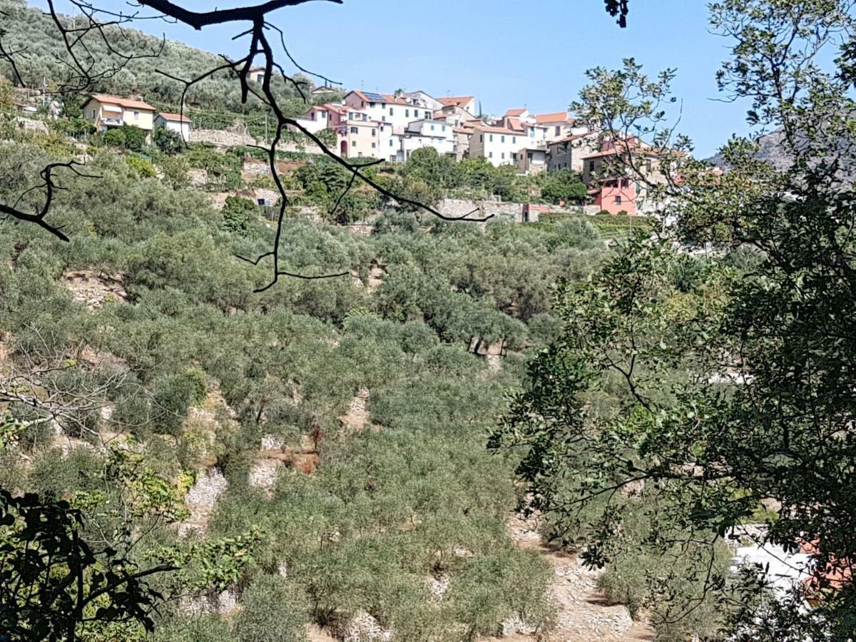 Chiusavecchia Piccolo Rifugio Nel Verde מראה חיצוני תמונה