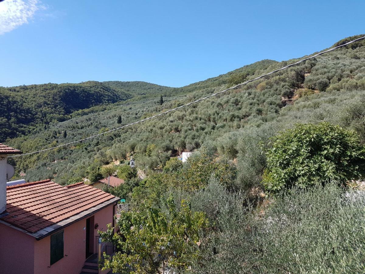 Chiusavecchia Piccolo Rifugio Nel Verde מראה חיצוני תמונה