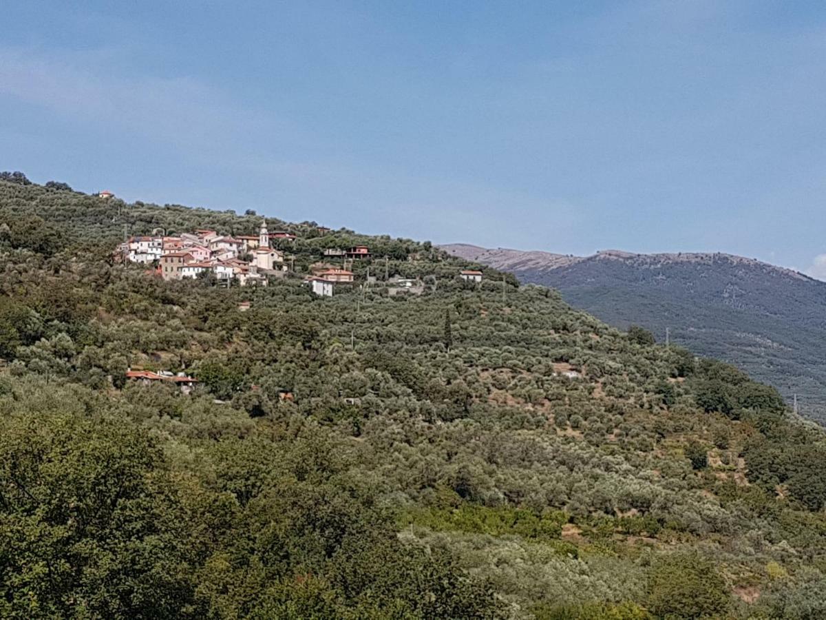 Chiusavecchia Piccolo Rifugio Nel Verde מראה חיצוני תמונה