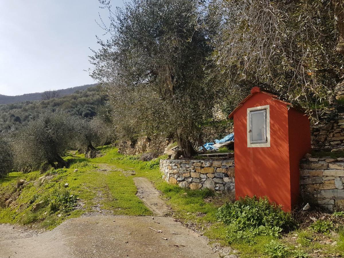 Chiusavecchia Piccolo Rifugio Nel Verde מראה חיצוני תמונה
