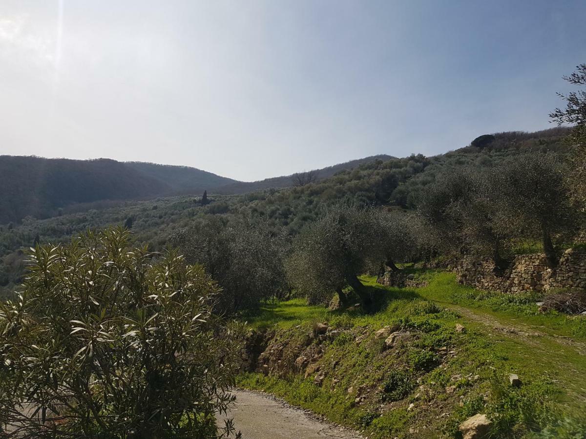 Chiusavecchia Piccolo Rifugio Nel Verde מראה חיצוני תמונה