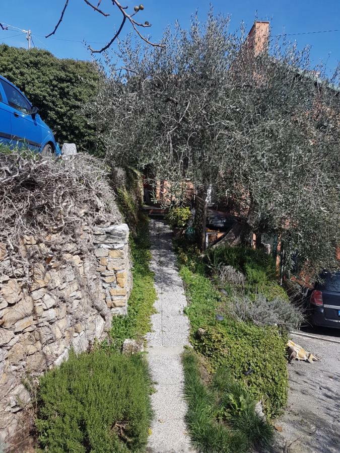 Chiusavecchia Piccolo Rifugio Nel Verde מראה חיצוני תמונה